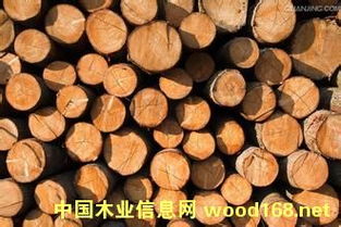 拉脱维亚木材企业亮相第五届世界木材与木制品贸易大会